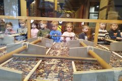 IMG_20251022_101229