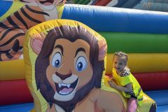 IMG_2916