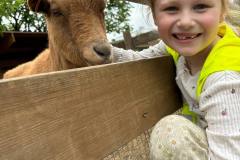 2bdf2f5d-c6ae-4a50-9ded-976edcce2aaf