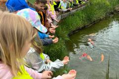 abf065ca-f662-4546-bc62-583694bf6333