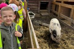 fd414ab3-5187-4727-b9e9-1e0979396dc3