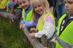 IMG-20250525-WA0017