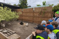 IMG-20250525-WA0029