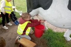 IMG_20250522_113015