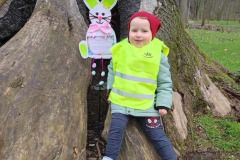 3862e3cd-15d6-4c98-9e9f-fa960945ad3e_4_11zon