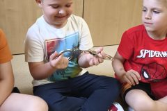 IMG_20250605_093434